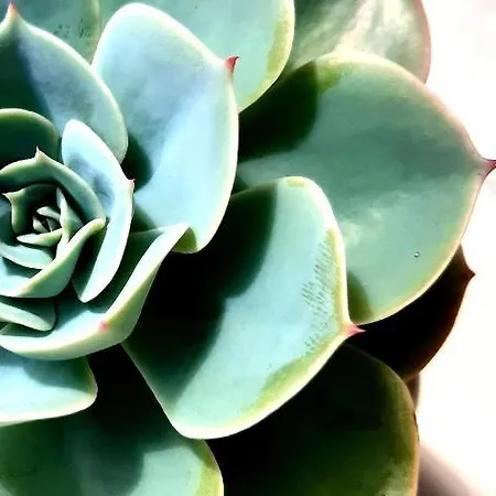 Διαμέρισμα Vidos Seaview